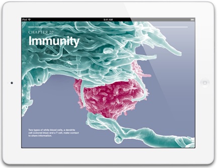 A great product markets itself: Apple's iPad
