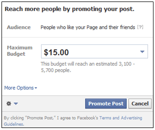 Reach more people with Facebook Promoted Posts